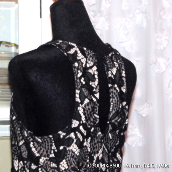 (28) Express Dress Sz Small petite Gorgeous - Picture 3 of 5